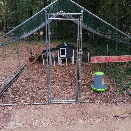 Emplacement Tente Camping Car Saint-Aubin-de-Nabirat Luaran gambar
