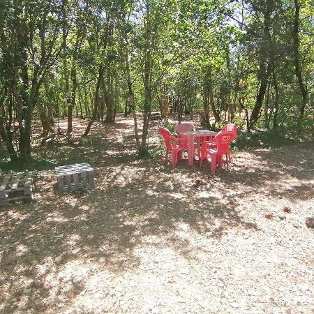Emplacement Tente Camping Car Saint-Aubin-de-Nabirat Luaran gambar