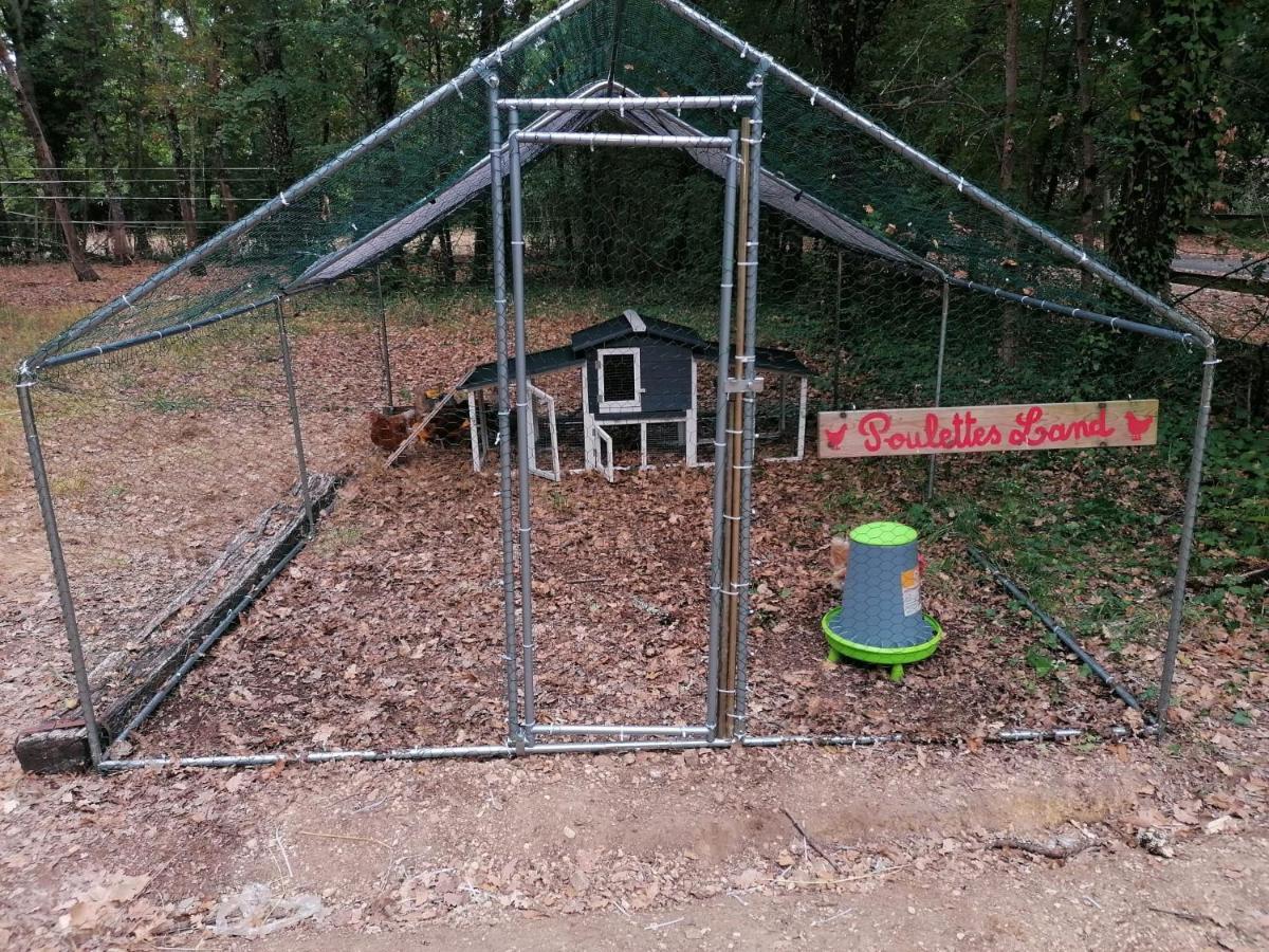 Emplacement Tente Camping Car Saint-Aubin-de-Nabirat Luaran gambar